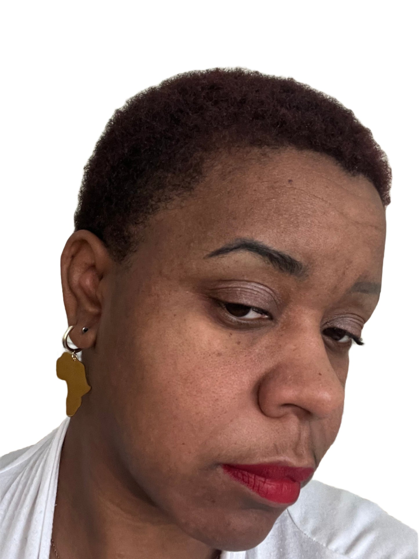 Elegant Africa Earrings