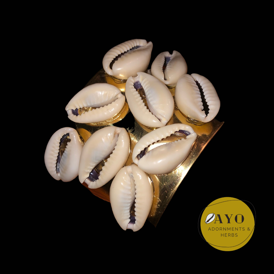 Cowrie Shell & Brass Cuff Bracelet w/ Multi Cowries